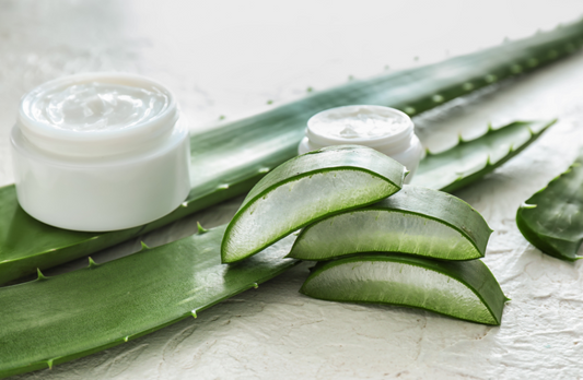 How to Make Aloe Vera Moisturiser